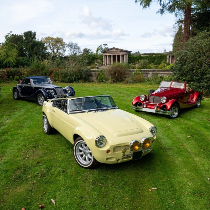 Multiple classic cars parked on green grass with a scenic background.